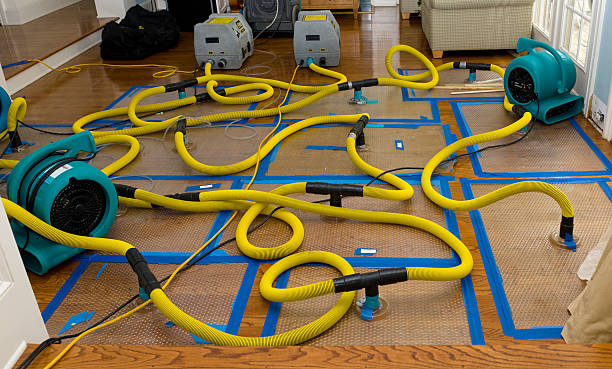 Professional Sewage Cleanup technician working in Crystal Lake, FL